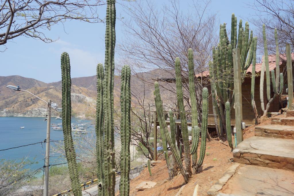 Hotel Cactus 타강가 외부 사진