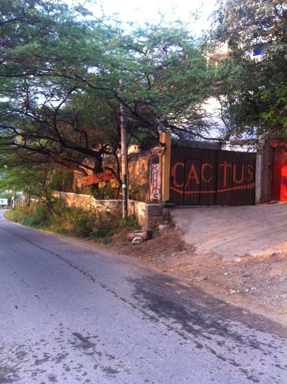 Hotel Cactus 타강가 객실 사진